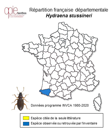 Carte de distribution de Hydraena stussineri Kuwert, 1888