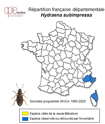 Carte de distribution de Hydraena subimpressa Rey, 1885
