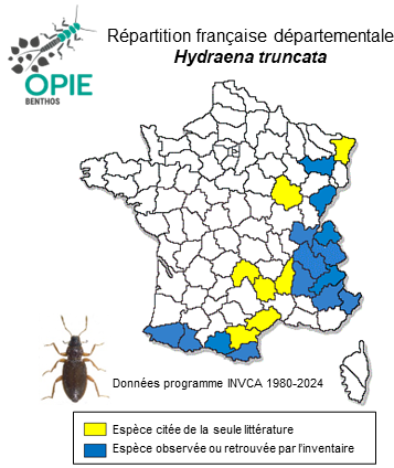 Carte de distribution de Hydraena truncata Rey, 1885