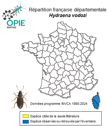Carte de distribution de Hydraena vodozi Sainte-Claire Deville, 1908