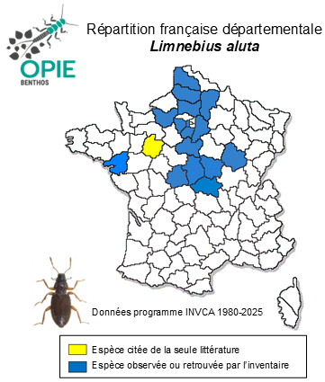 Carte de distribution de Limnebius aluta Bedel, 1881