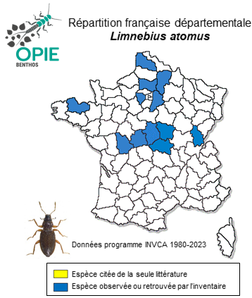 Carte de distribution de Limnebius atomus (Duftschmid, 1805)