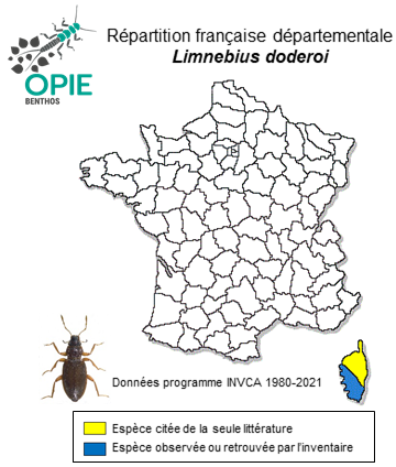 Carte de distribution de Limnebius doderoi Gridelli, 1926