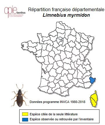 Carte de distribution de Limnebius myrmidon Rey, 1883