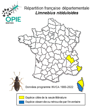 Carte de distribution de Limnebius nitiduloides Baudi di Selve, 1872