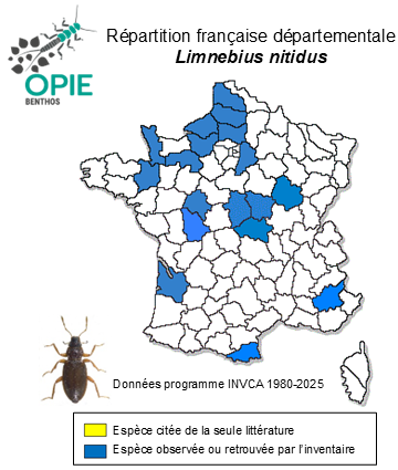 Carte de distribution de Limnebius nitidus (Marsham, 1802)