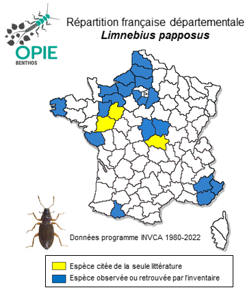 Carte de distribution de Limnebius papposus Mulsant, 1844