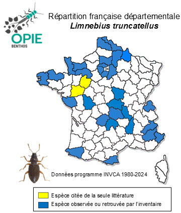 Carte de distribution de Limnebius truncatellus (Thunberg, 1794)
