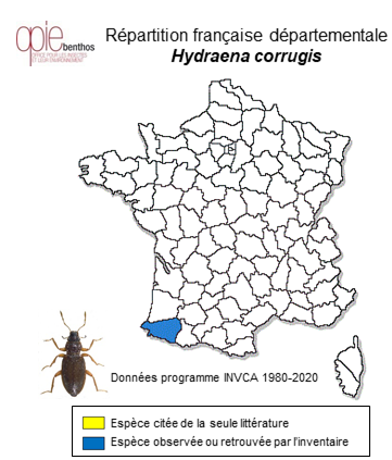 Carte de distribution de hydraena corrugis Orchymont, 1934
