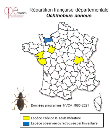 Carte de distribution de Ochthebius aeneus Stephens, 1835