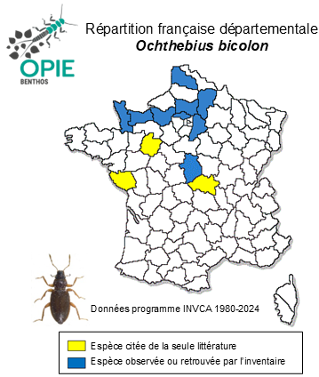 Carte de distribution de Ochthebius bicolon Germar, 1824