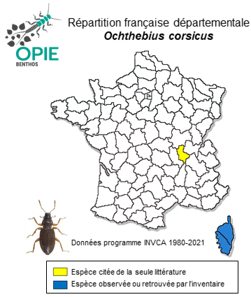 Carte de distribution de Ochthebius corsicus Sainte-Claire Deville, 1908