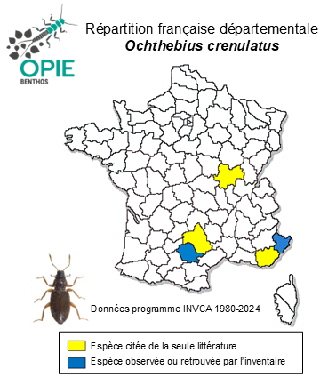 Carte de distribution de Ochthebius crenulatus Mulsant & Rey, 1850