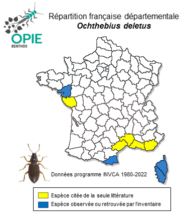 Carte de distribution de Ochthebius deletus Rey, 1885