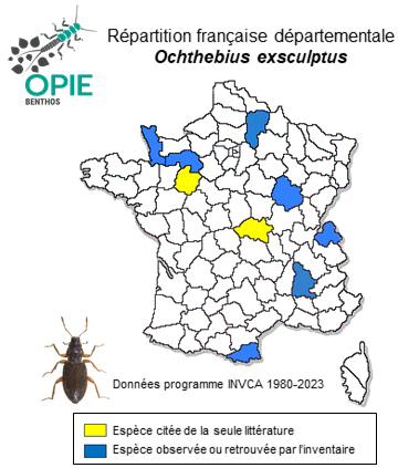 Carte de distribution de Ochthebius exsculptus Germar, 1824