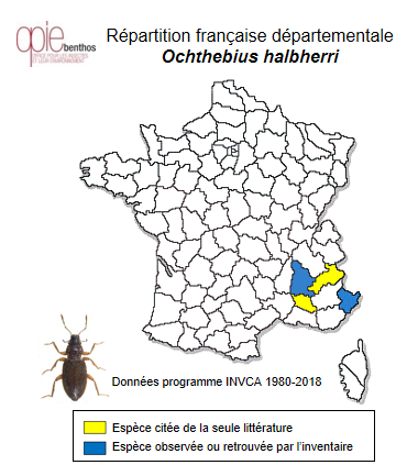 Carte de distribution de Ochthebius halbherri Reitter, 1890