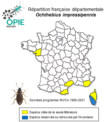 Carte de distribution de Ochthebius impressipennis Rey, 1886