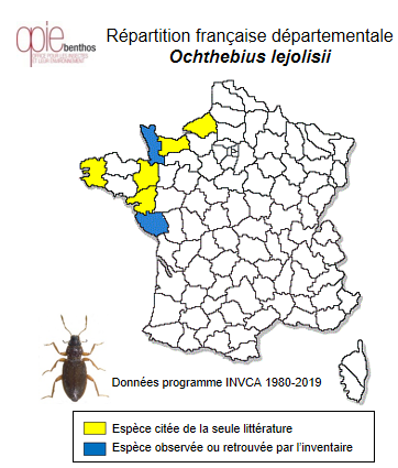 Carte de distribution de Ochthebius lejolisii Rey, 1885