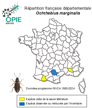 Carte de distribution de Ochthebius marginalis Rey, 1886