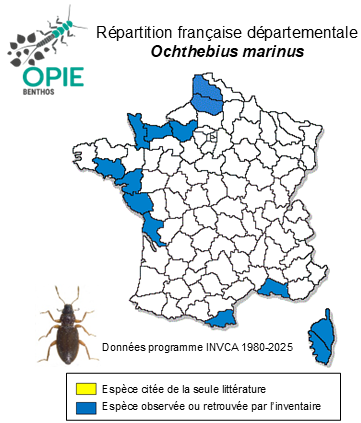 Carte de distribution de Ochthebius marinus (Paykull, 1798)