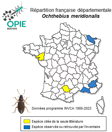 Carte de distribution de Ochthebius meridionalis Rey, 1885