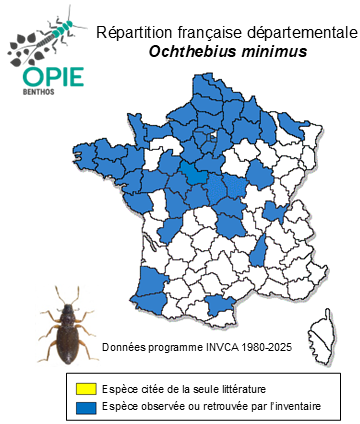 Carte de distribution de Ochthebius minimus (Fabricius, 1792)