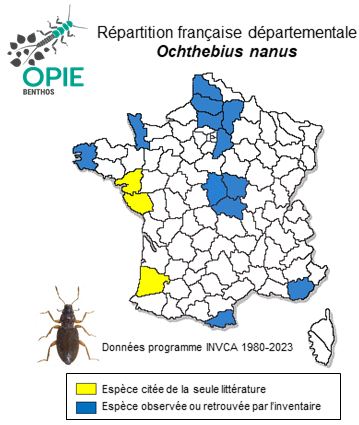 Carte de distribution de Ochthebius nanus (Stephens, 1829)