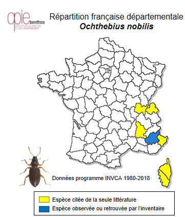 Carte de distribution de Ochthebius nobilis Villa & Villa, 1835