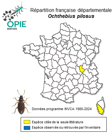 Carte de distribution de Ochthebius pilosus Waltl, 1835