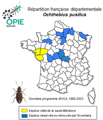 Carte de distribution de Ochthebius pusillus Stephens, 1835