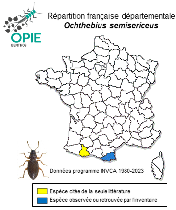 Carte de distribution de Ochthebius semisericeus Sainte-Claire-Deville, 1914