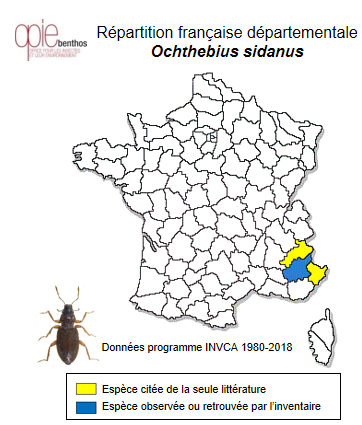 Carte de distribution de Ochthebius sidanus d'Orchymont, 1942