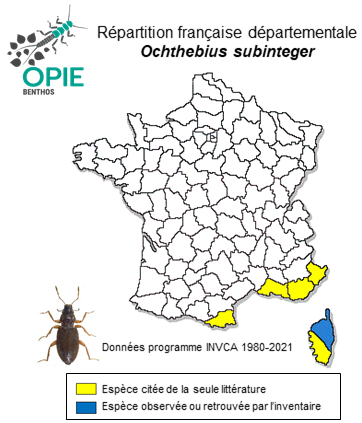 Carte de distribution de Ochthebius subinteger Mulsant & Rey, 1861