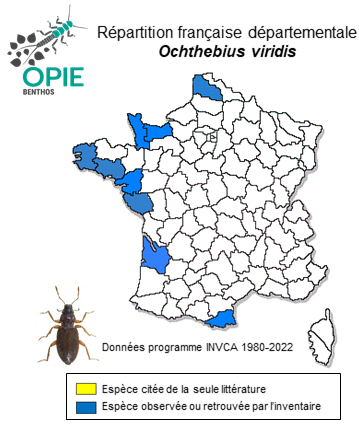 Carte de distribution de Ochthebius viridis Peyron, 1858