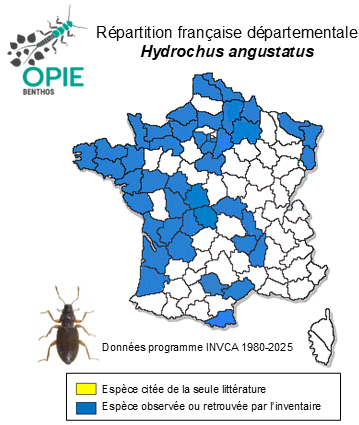 Carte de distribution de Hydrochus angustatus Germar, 1824