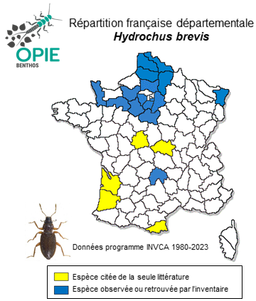 Carte de distribution de Hydrochus brevis (Herbst, 1793)