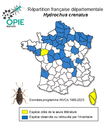 Carte de distribution de Hydrochus crenatus (Fabricius, 1792)