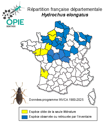 Carte de distribution de Hydrochus elongatus (Schaller, 1783)