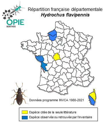 Carte de distribution de Hydrochus flavipennis Küster, 1852