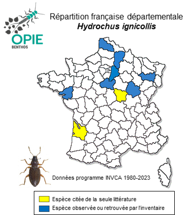 Carte de distribution de Hydrochus ignicollis Motschulsky, 1860
