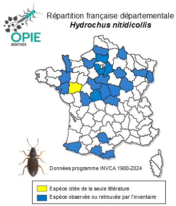Carte de distribution de Hydrochus nitidicollis Mulsant, 1844
