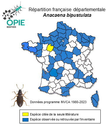 Carte de distribution de Anacaena bipustulata (Marsham, 1802)