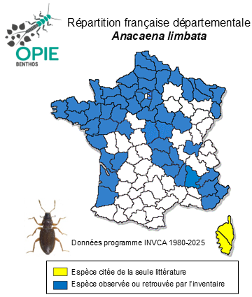 Carte de distribution de Anacaena limbata (Fabricius, 1792)