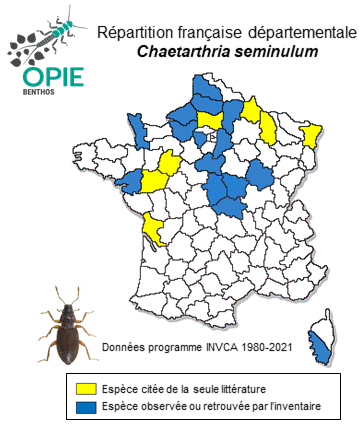 Carte de distribution de Chaetarthria seminulum  (Herbst, 1797)