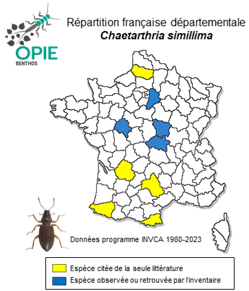 Carte de distribution de Chaetarthria simillima Vorst & Cuppen, 2003