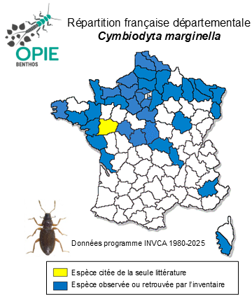 Carte de distribution de Cymbiodyta marginella (Fabricius, 1792)