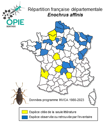 Carte de distribution de Enochrus affinis (Thunberg, 1794)
