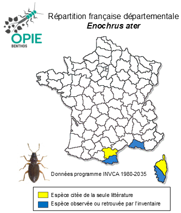 Carte de distribution de Enochrus ater (Kuwert, 1888)