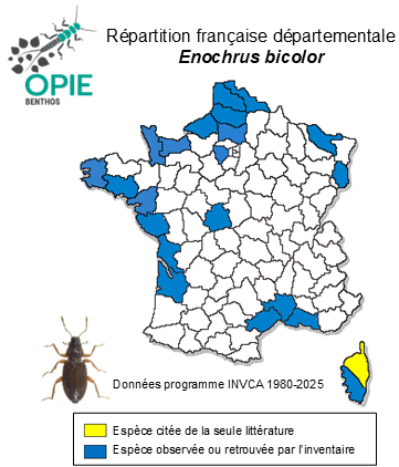 Carte de distribution de Enochrus bicolor (Fabricius, 1792)
