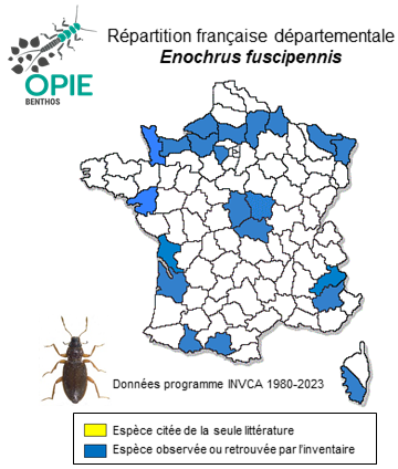 Carte de distribution de Enochrus fuscipennis (Thomson, 1884)